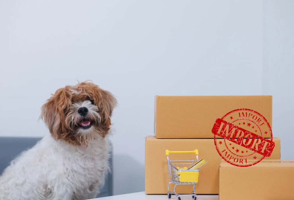 Simplified import documentation for pet food products from the US - Universal Logistics Trade Alerts - January 17, 2025