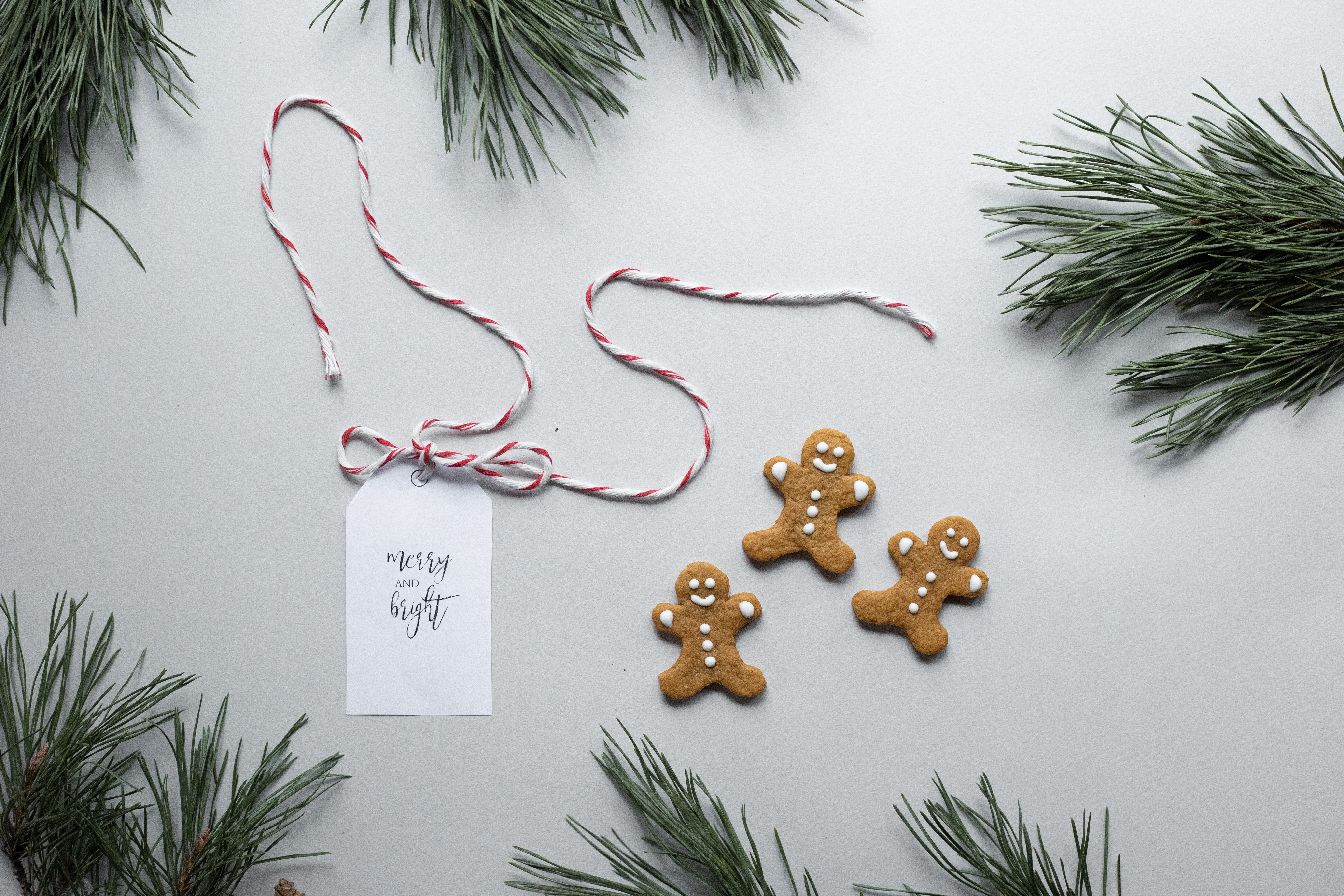 Christmas Gingerbread - Universal Logistics