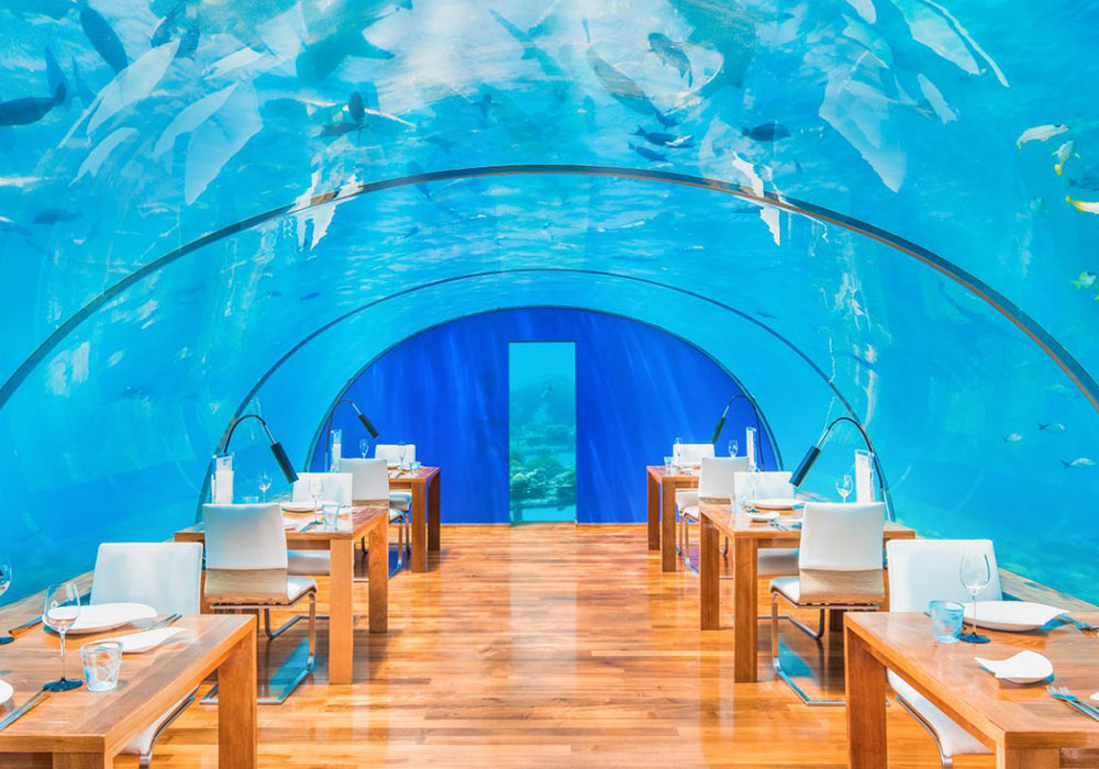 8 Unique Restaurants in Nature Around the World - Ithaa Undersea Restaurant – Alif Dhaal Atoll, Maldives - Universal Logistics Universal & YOU Internal Newsletter