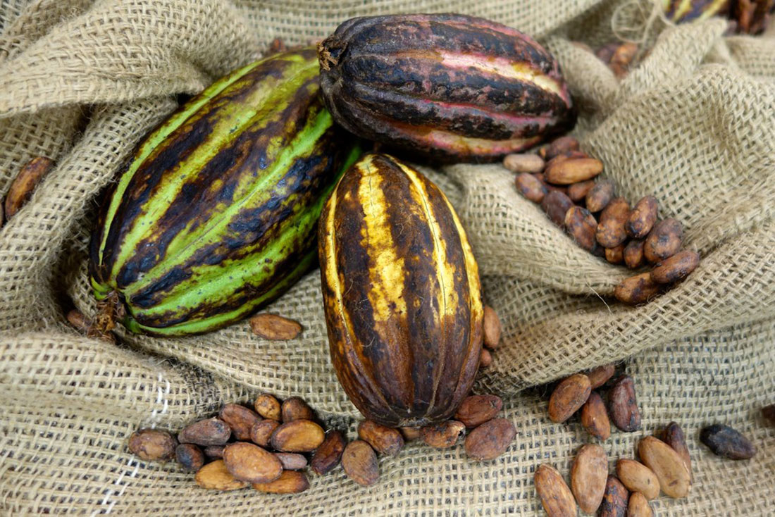 The Cocoa Craze – All About Beloved Chocolate! - Fun Facts - Universal Logistics Universal & YOU Internal Newsletter - May 2024