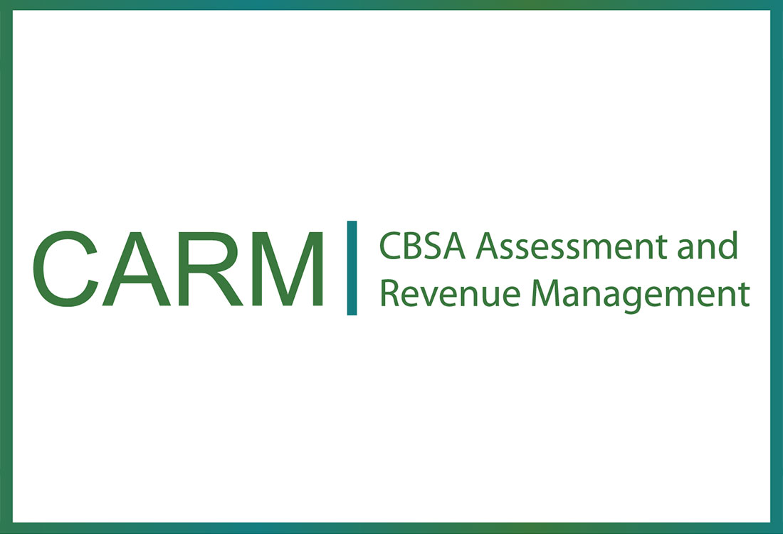 CARM – Mandatory importer registration and electronic payments - Route Newsletter: October 2024